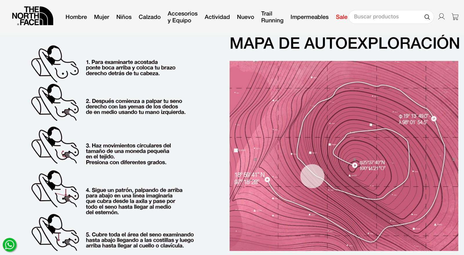 Self-examination map